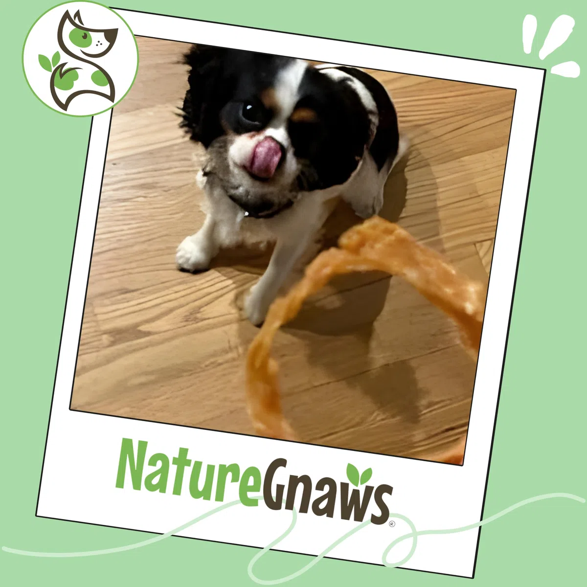 Nature Gnaws Anillos de tendón de pavo para perros (8 onzas) – Delicioso aperitivo de recompensa sin granos para razas pequeñas, medianas y grandes – Golosinas naturales de primera calidad para perros