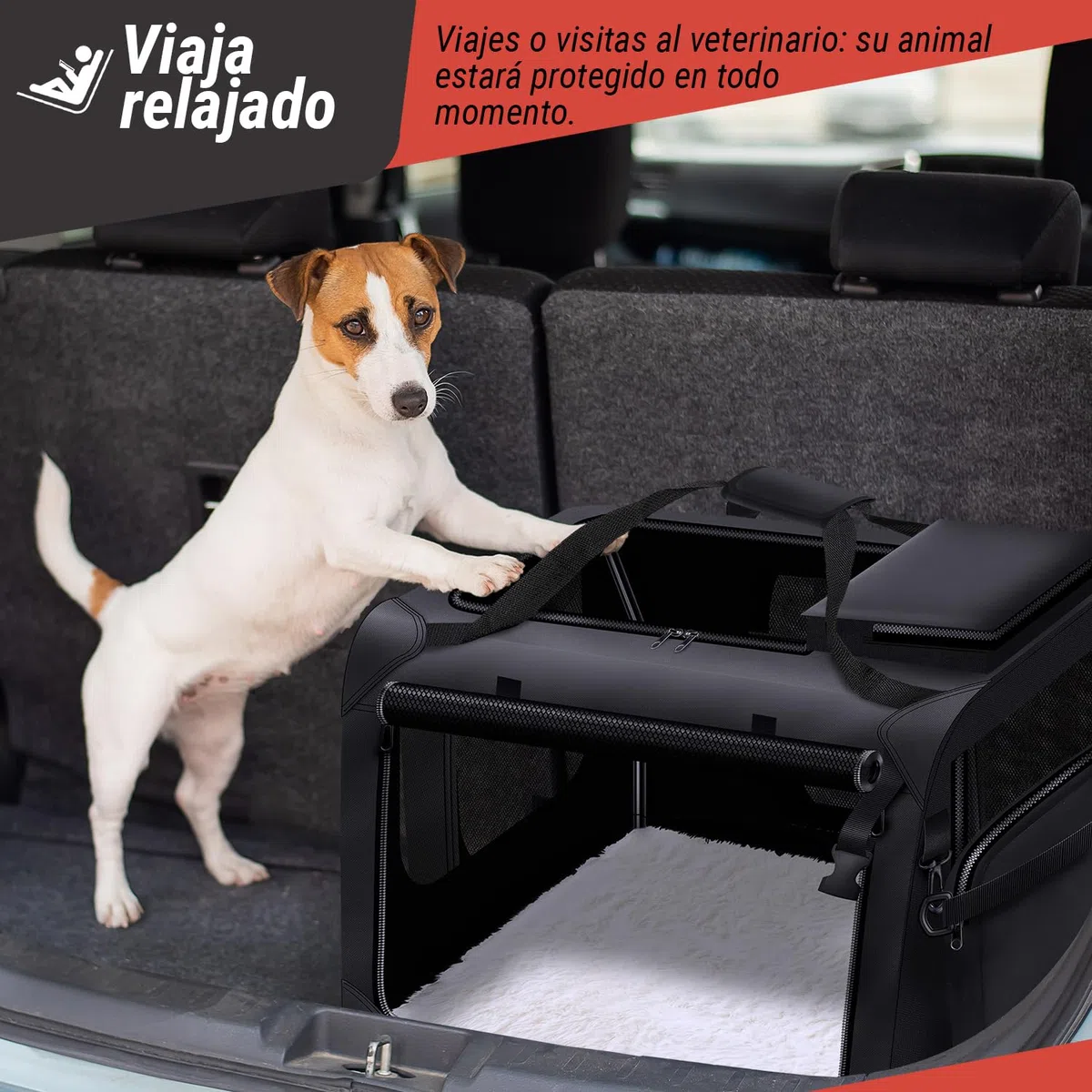 all Pets United® Transportín Plegable para Perros XL - 82x60x60 cm | Bolsa de transporte extensible - estructura de acero - nailon Oxford - apta para tren, coche y avión
