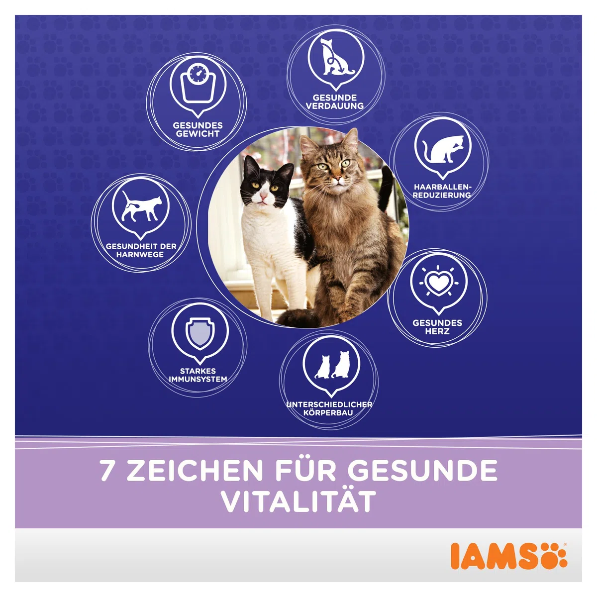 IAMS ProActive Health Adult & Mature & Senior Multi-Cat Households with Salmon & Chicken 15 Kg