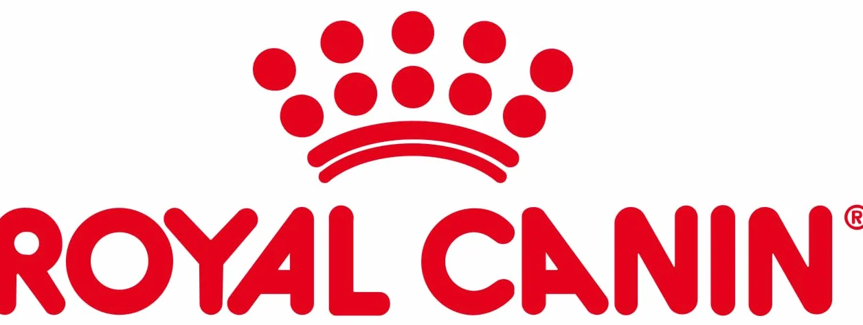 Royal Canin Veterinary Renal Special Feline | 4 kg | Alimento Completo para Gatos Adultos | Puede contribuir al Soporte de Las Funciones renales.