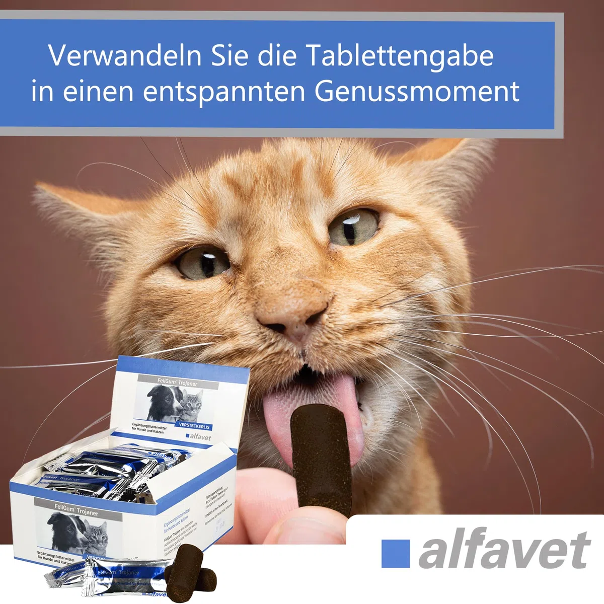 Alfavet FeliGum Troyano Caja 30 x 10 g Escondite Medicamentos Moldeable como Snack Complemento Alimento Complementario para Perros y Gatos