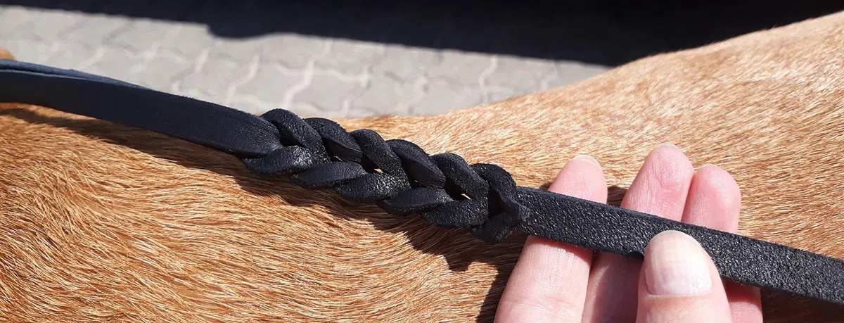 Dingo Correa de Piel Suave Mango Trenzado, Hecha a Mano, para exposiciones de Perros