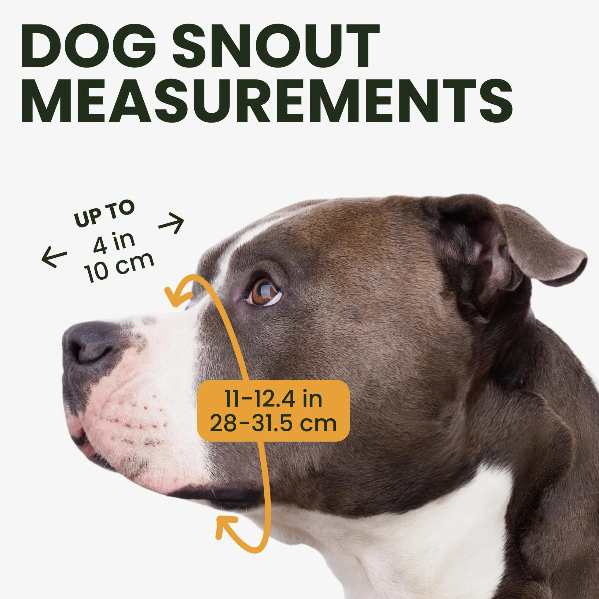BRONZEDOG Bozal para Perro Pitbull de Metal Transpirable para Perros Grandes como Amstaff y Staffordshire Terrier, con Correa de Nailon, antimordeduras, masticación y ladridos