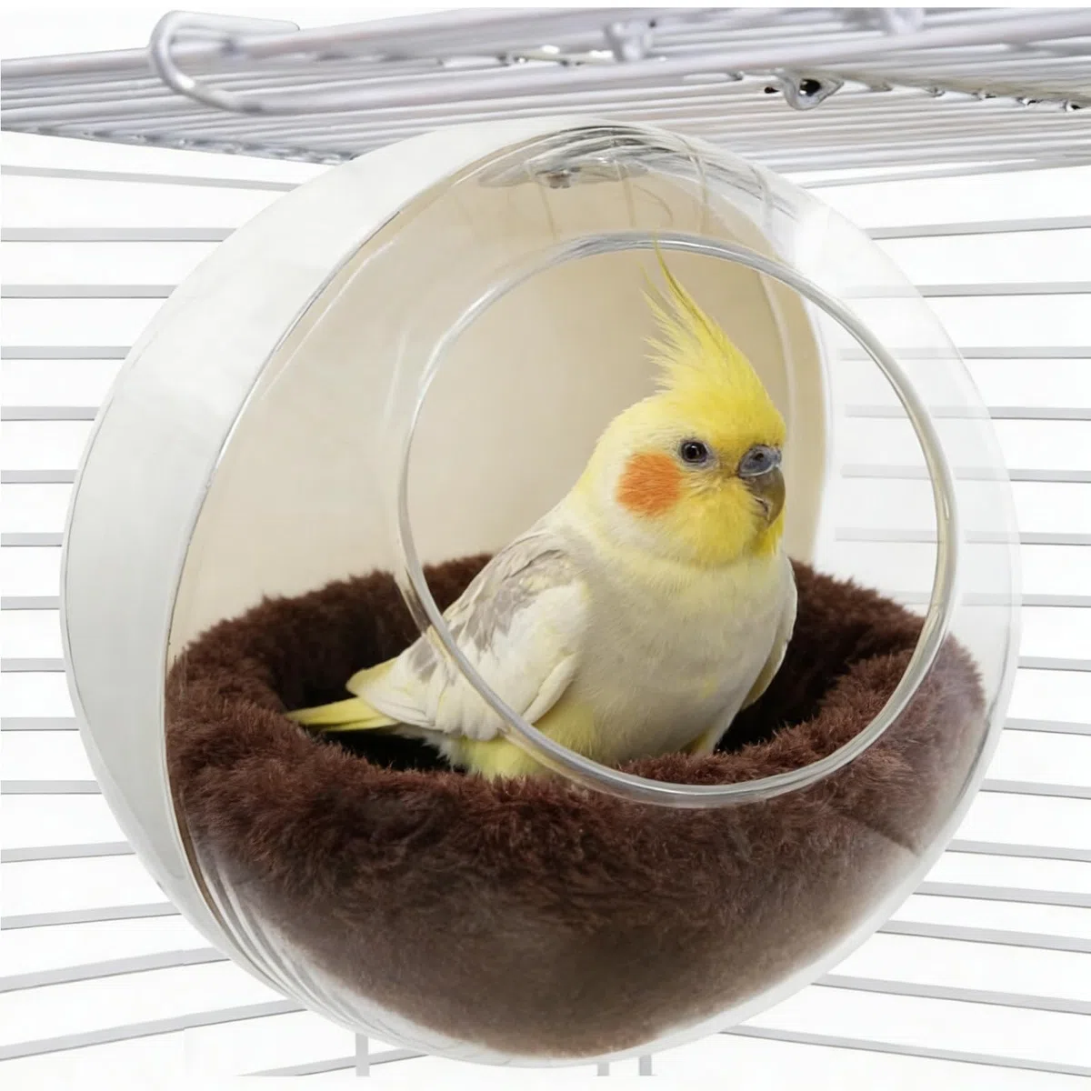 Casa de pájaros transparente colgante, nido desmontable resistente a las mordeduras, monitoreo claro de pájaros pequeños (periquitos, canarios)