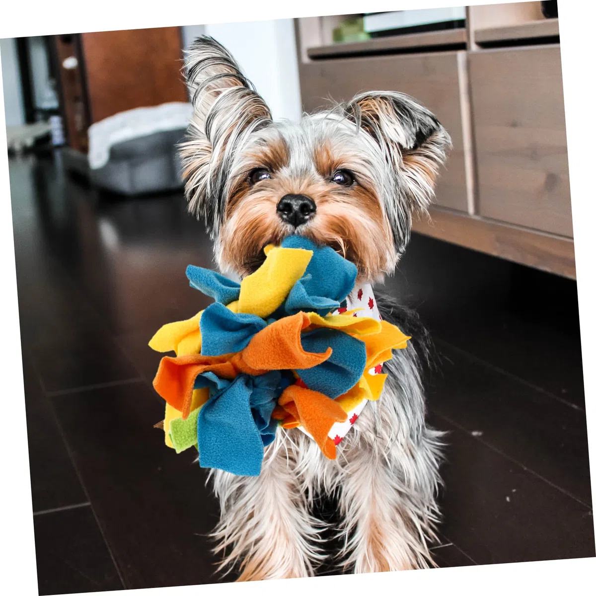 Kisangel 1 Pc de Juguete Dog Toys comedero para Perros Juguete de Entrenamiento para Cachorros s de alimentación Lenta para Perros para Mascota