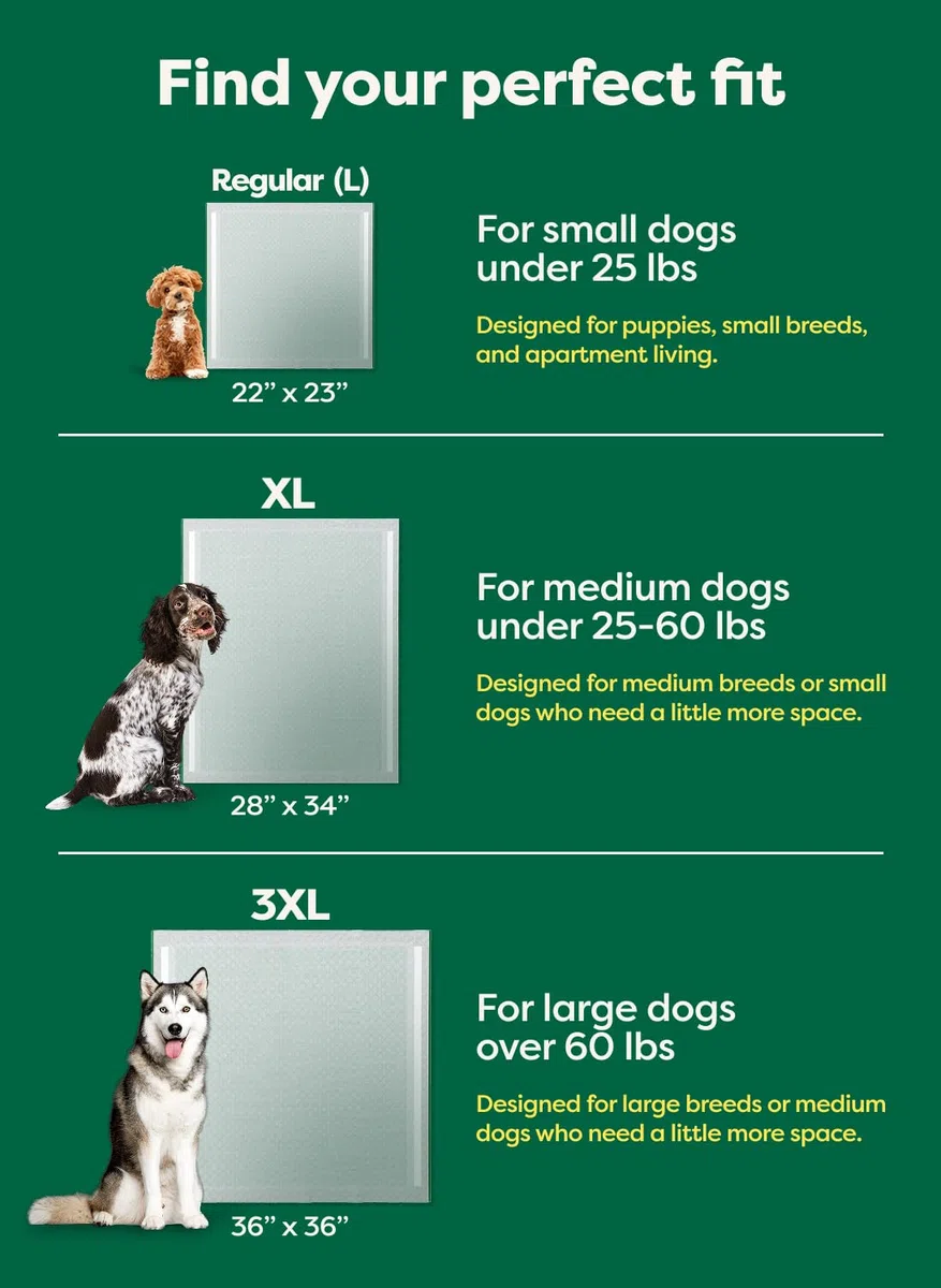 Earth Rated Max Absorbency - Almohadillas para orina de cachorros para perros absorben 2 veces más rápido y 2 veces más, a prueba de fugas, control de olores, sin perfume, grande, 22 x 23 pulgadas, 40