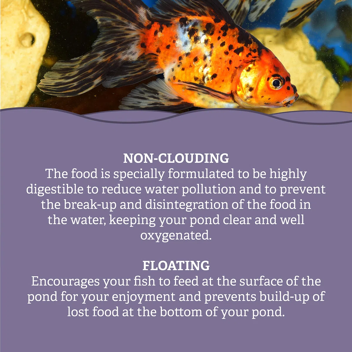 Pets Choice | Alimento para Peces, multipalitos | Flotante, Altamente digerible y no enturbiante | Espirulina añadida para Mejorar el Color (5 kg)