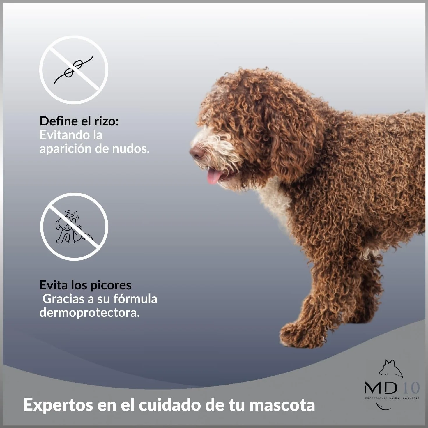 Champú para Perro de Agua Español Pelo Marrón de Diferentes Tonalidades - Champú Texturizador de Rizos Hidratante, Vegano y Biodegradable - Fabricado en España - 5 l - MD-10 COLLECTION