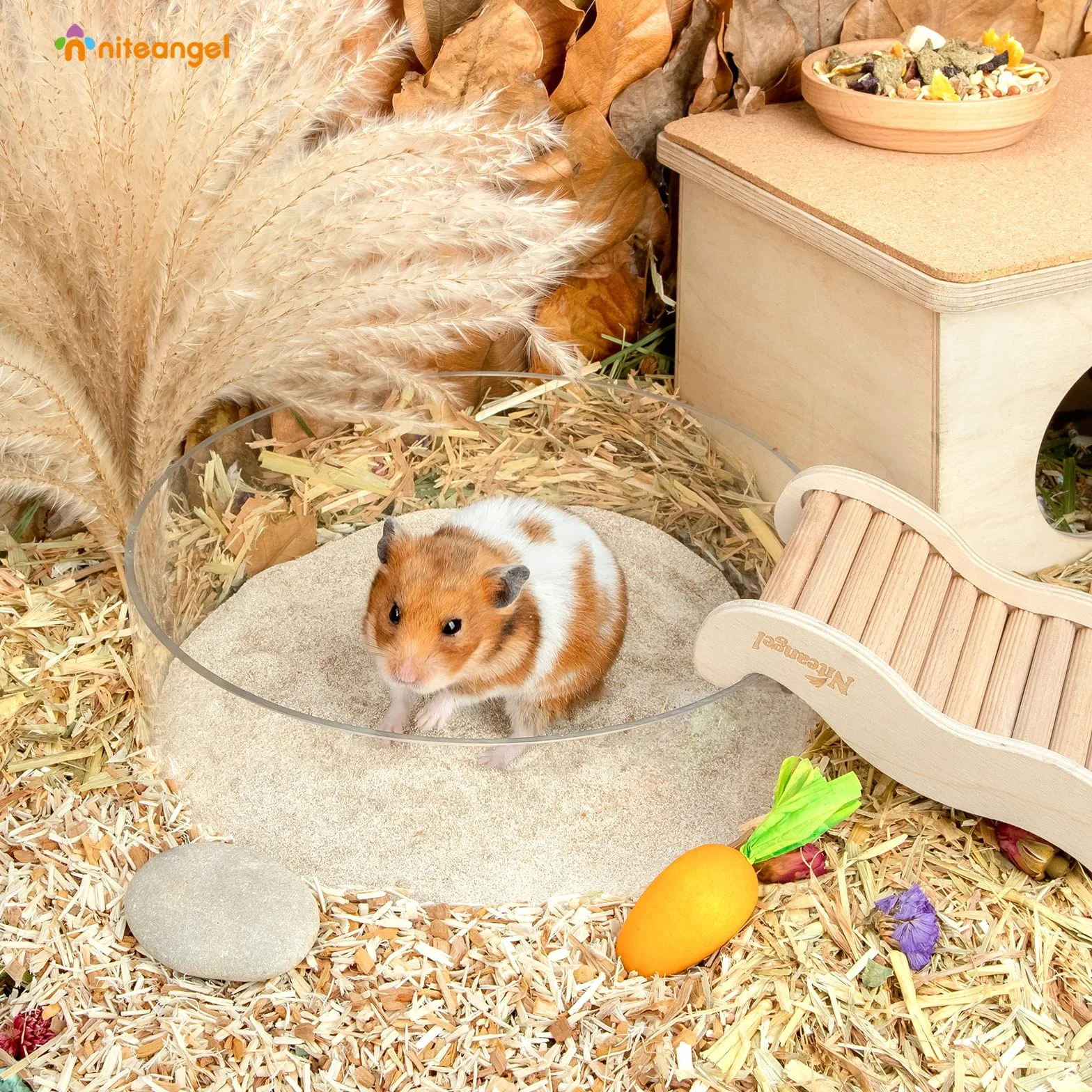 Niteangel Arena de baño del desierto para hámster, arena para baño o orinal sin polvo para hámster, chinchillas, jerbos, ratones, degu u otras mascotas pequeñas
