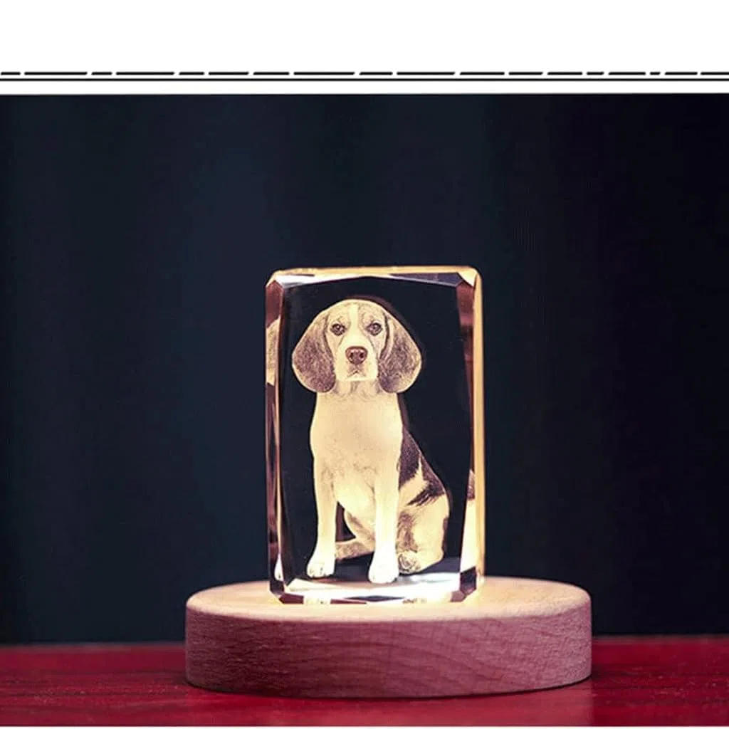 NALsa Tallado de Cristal, Fotos privadas 3D Personalizadas, Regalos conmemorativos para Mascotas para Amigos, Novias y Regalos Familiares