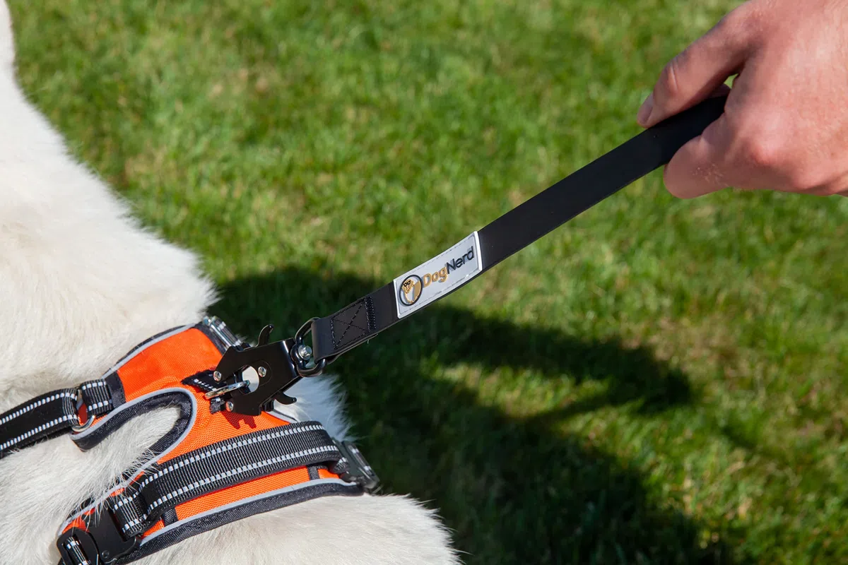 Correas tácticas para perros medianos y perros de raza grande (6 pies) | Correa de nailon recubierto de PVC resistente con clip de rana de liberación rápida | Clip G integrado (rojo, 6 pies)