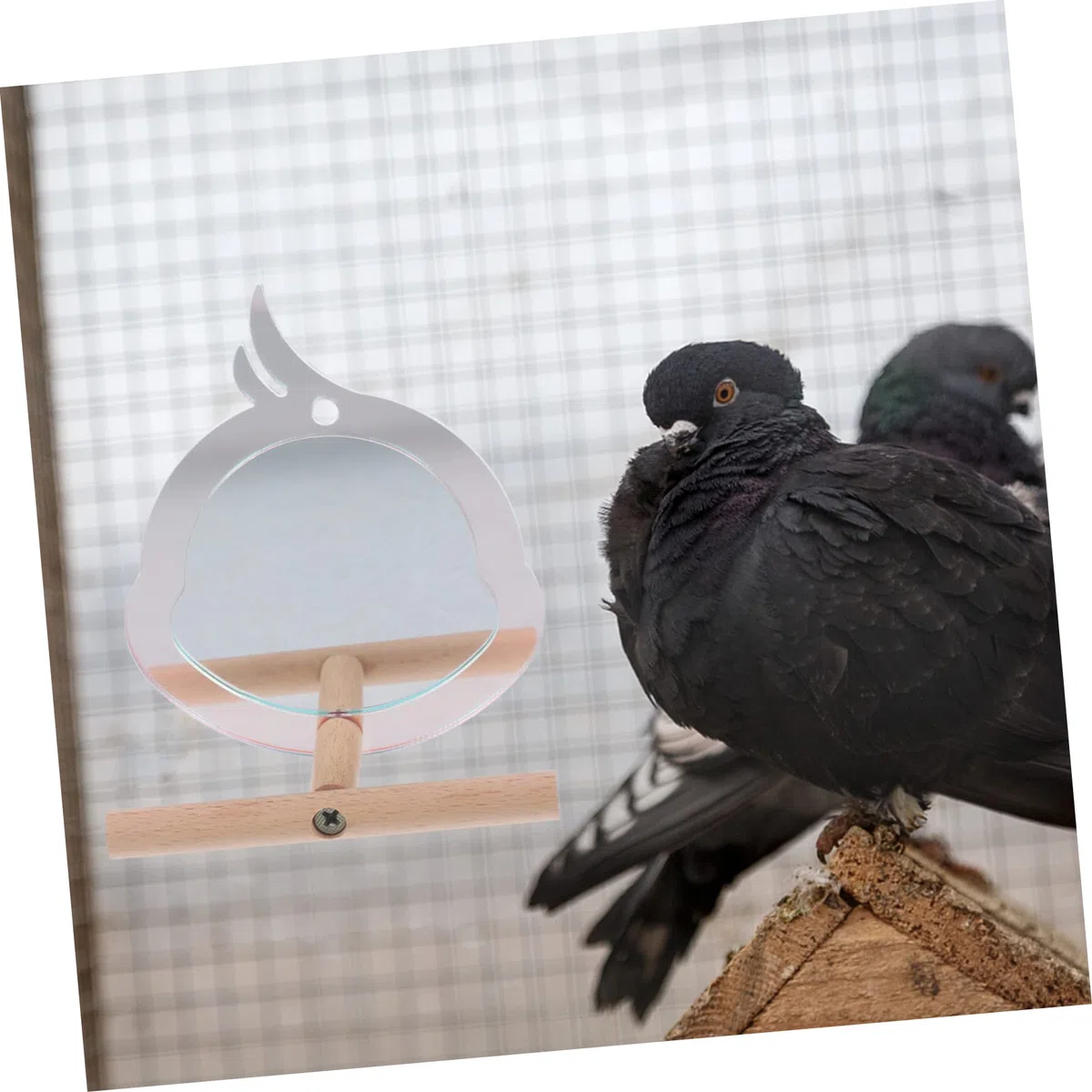 YARNOW 5piezas Perch para Aves Pequeñas Soporte Resistente para Periquitos y Juguete De Descanso y Ejercicio Diseño Chic Accesorio para Jaula De