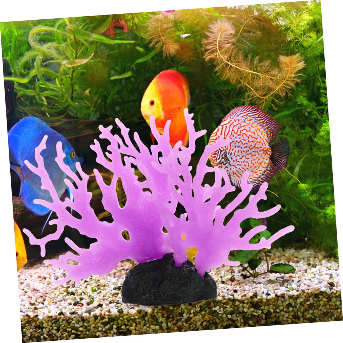Sosoport 4piezas Adorno De Coral Artificial para Acuarios Decoración Simulada De Coral Vivid para Peceras Marino Lujoso Diseño Creativo y Elegante Material y Resistente para Decorar