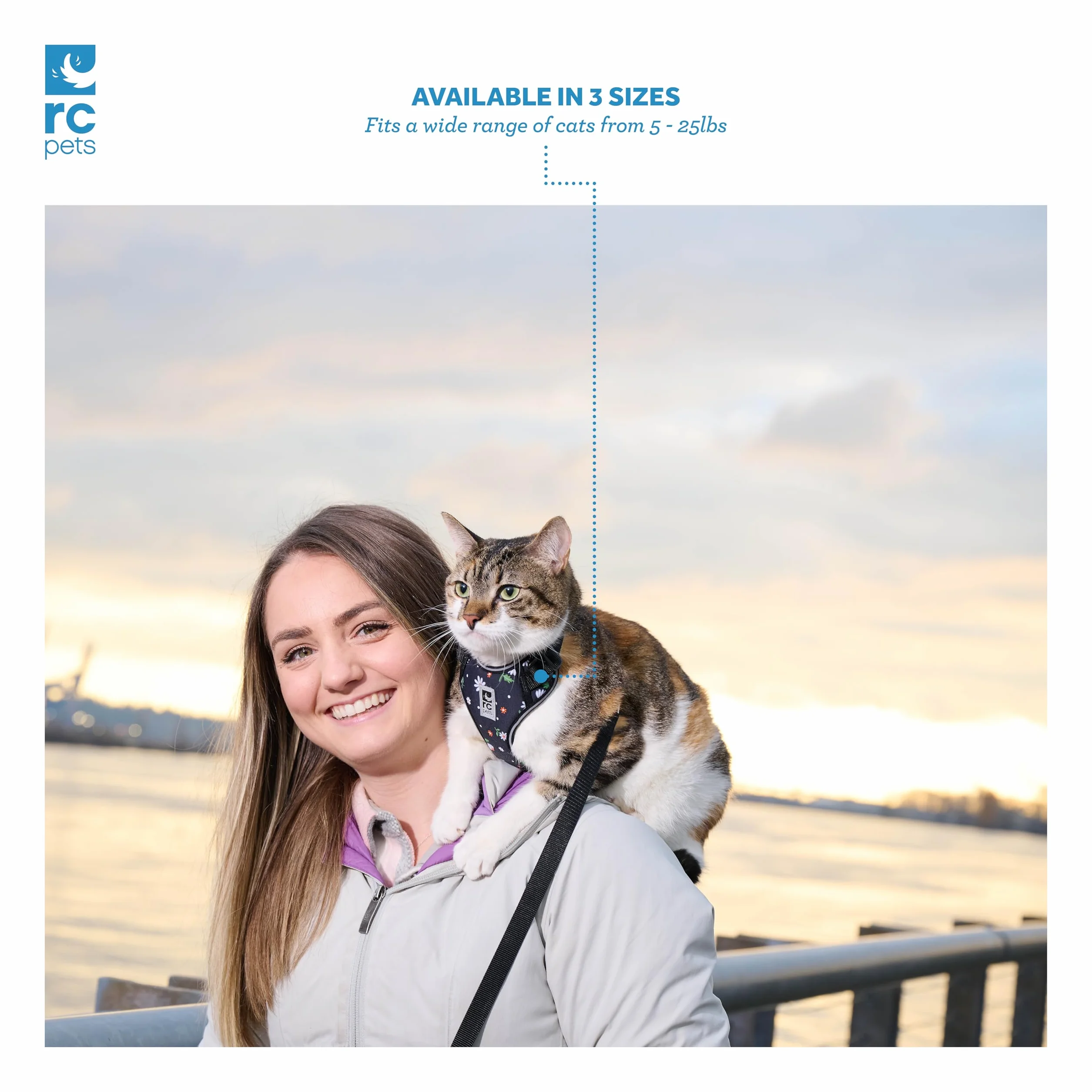 RC Pet Products Adventure Kitty - Arnés para pasear Gatos, Mediano, Margaritas (53804347)