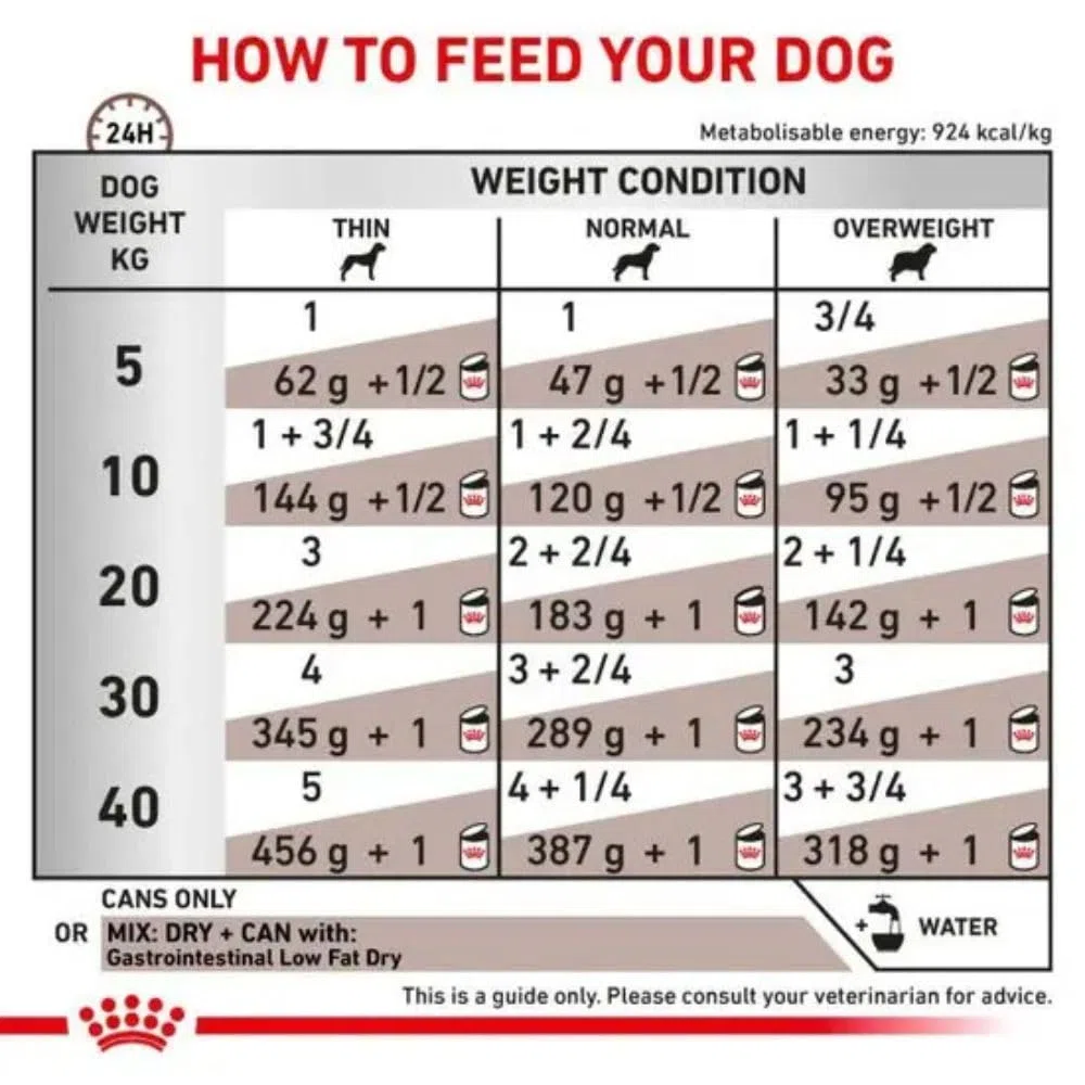 Royal Canin Veterinary Gastrointestinal Low Fat | 6 kg | Pienso Completo para Perros Adultos | Alimento seco para Ayuda digestiva | Bajo Contenido en Grasas