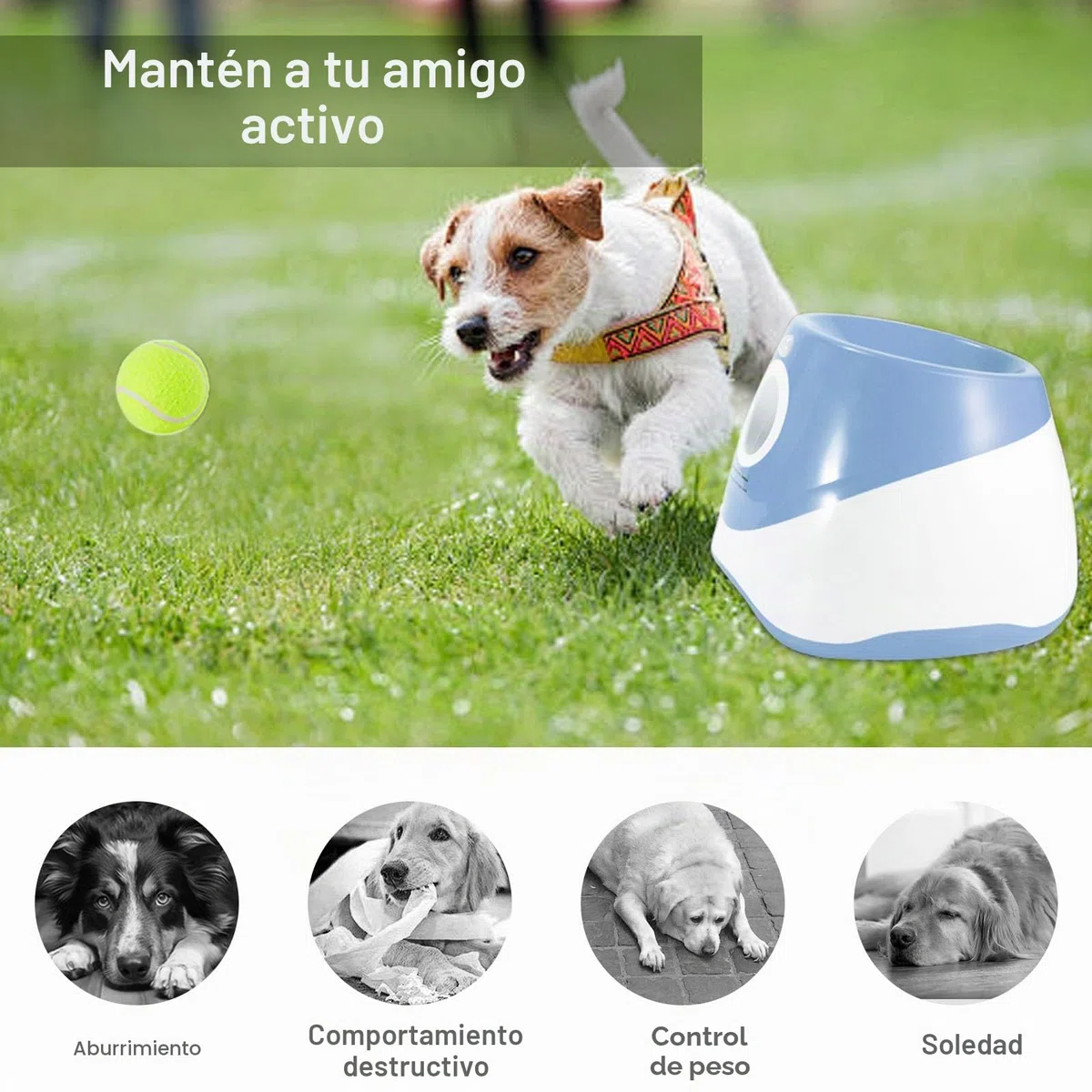 Lanzador automático de pelotas, para perros con 6 pelotas de tenis de 2 pulgadas, puede lanzar 10-30 pies, máquina interactiva de bolas para perros pequeños y medianos