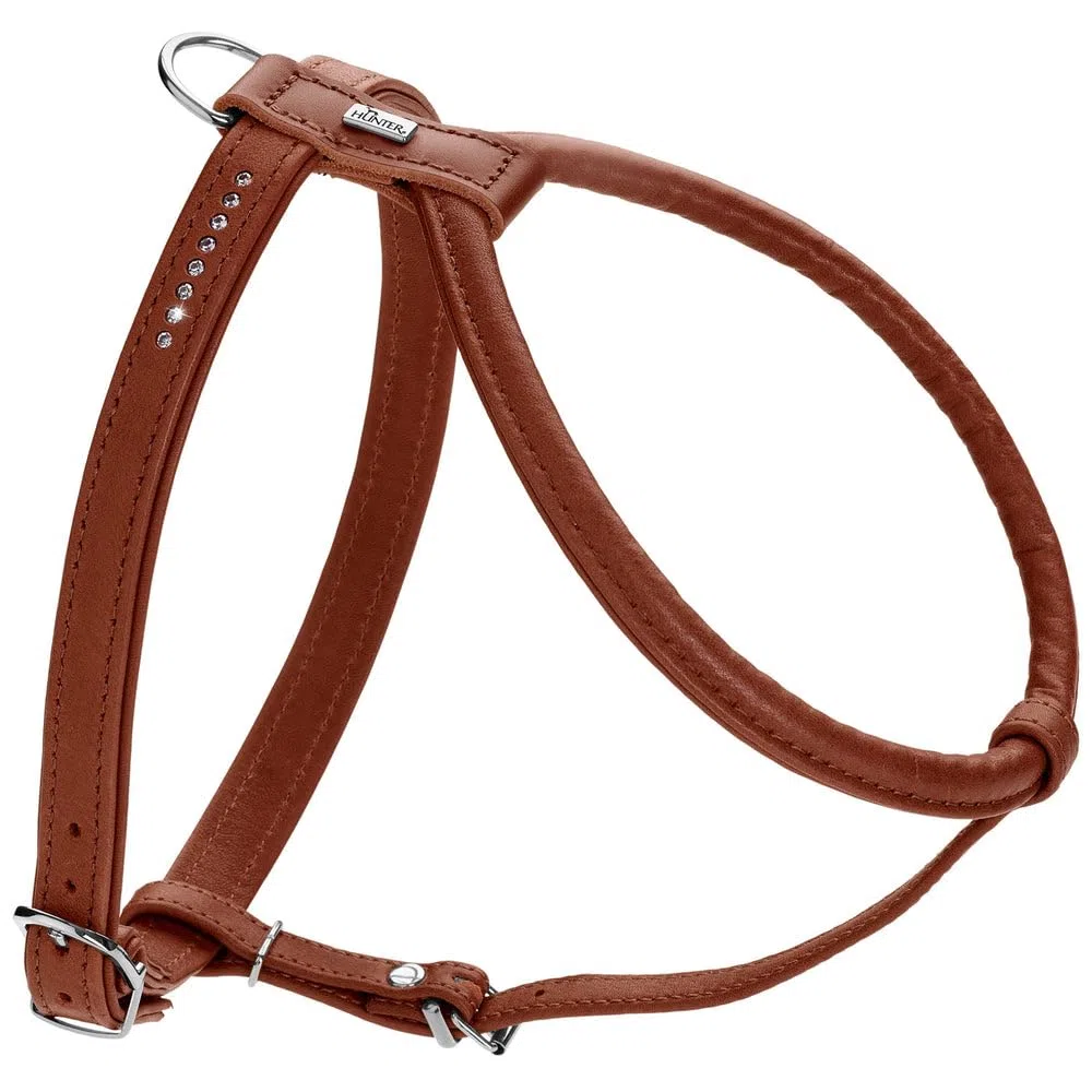 Hunter Arnés Canadiense Redondo & Soft Canadian UP, Color coñac, Suave y Flexible, Costuras Redondas, Cuidado con la Piel, sostenible, Fabricado en Alemania, Talla: S-M