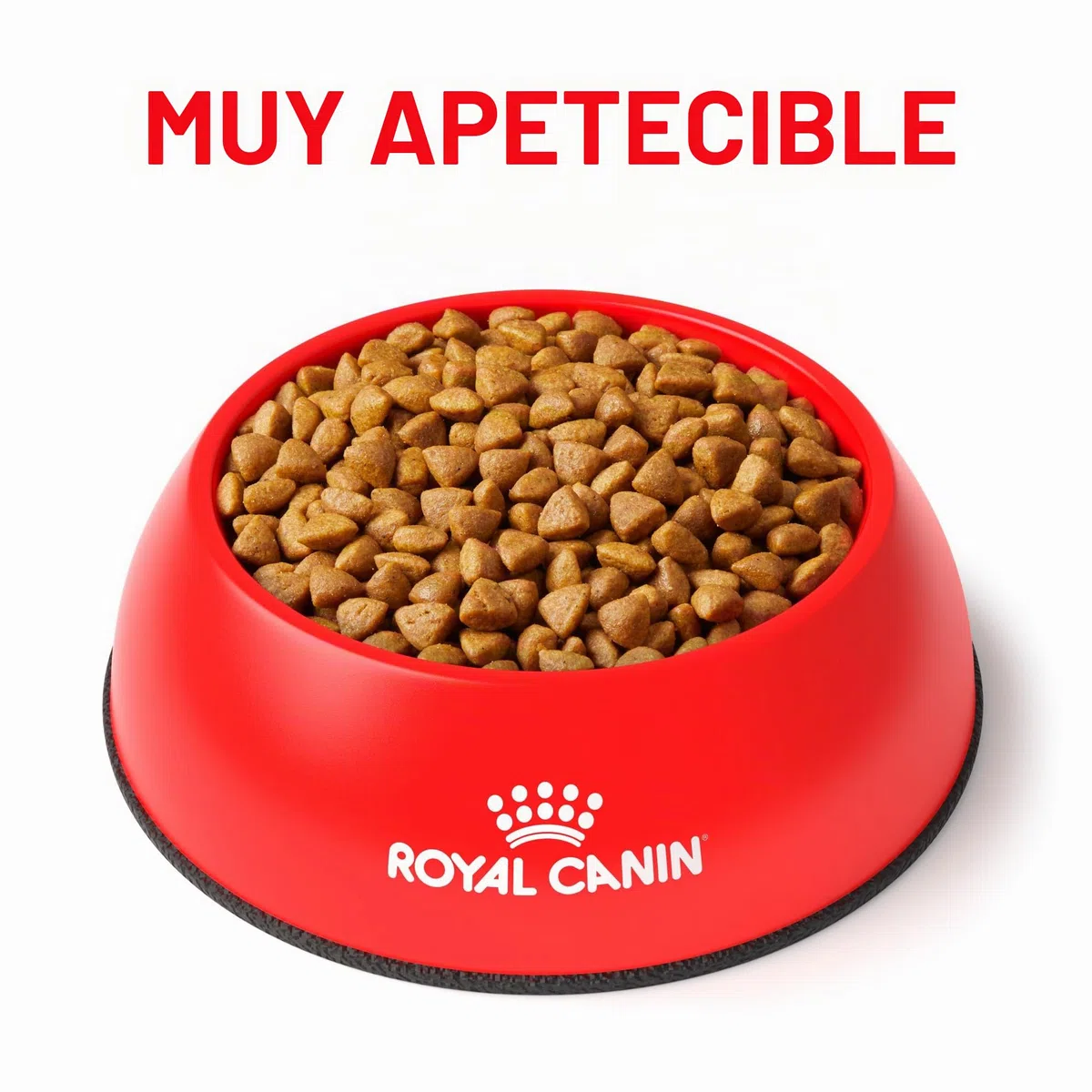 Royal Canin Expert Calm | 4 kg | Alimento Completo para Gatos Adultos | Posible Efecto Relajante | Proteína de Leche hidrolizada y L-triptófano