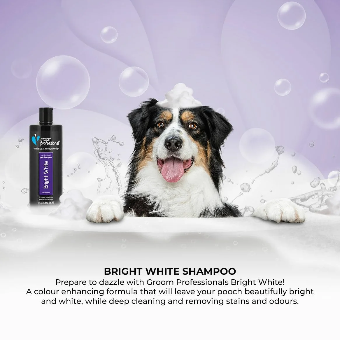 GROOM PROFESSIONAL Bright White - Champú blanqueador para perros, mejora los tonos blancos, fórmula de limpieza profunda para pelajes sucios, aceite de coco añadido para calmar la piel seca o con