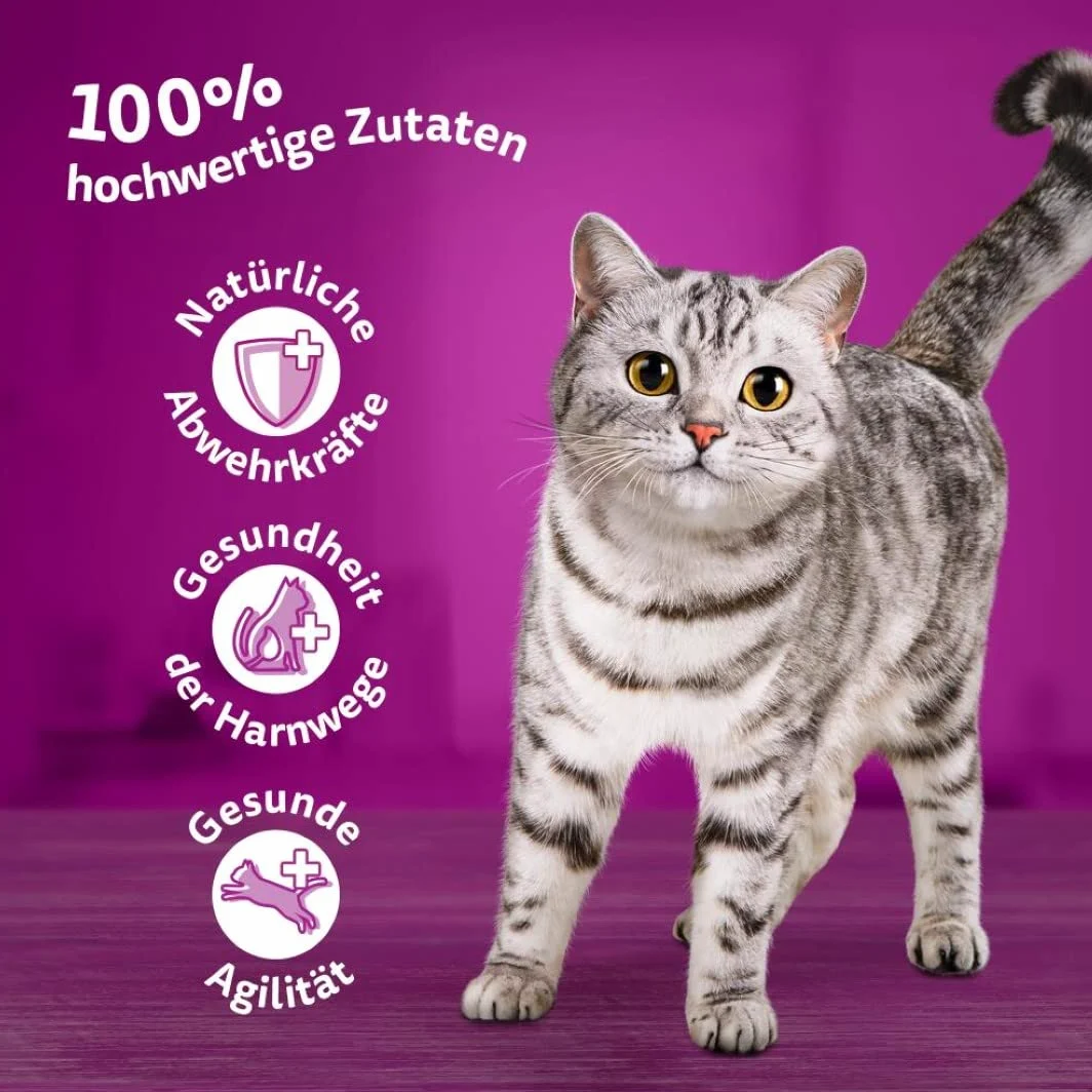 Whiskas 7+ Comida para Gatos de Aves de Corral en Salsa, 12 x 85 g (4 Paquetes) – Comida húmeda Partir de los 7 años de Edad en 48 Bolsas de porciones