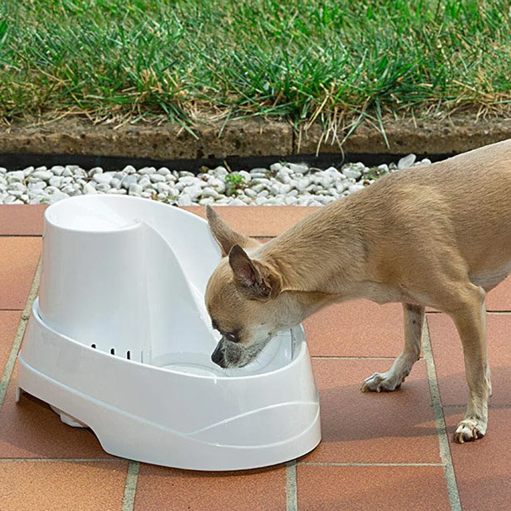 Ferplast Fuente para Gatos Y Perros Pequeños Vega, 2 litros Ferplast 810 g