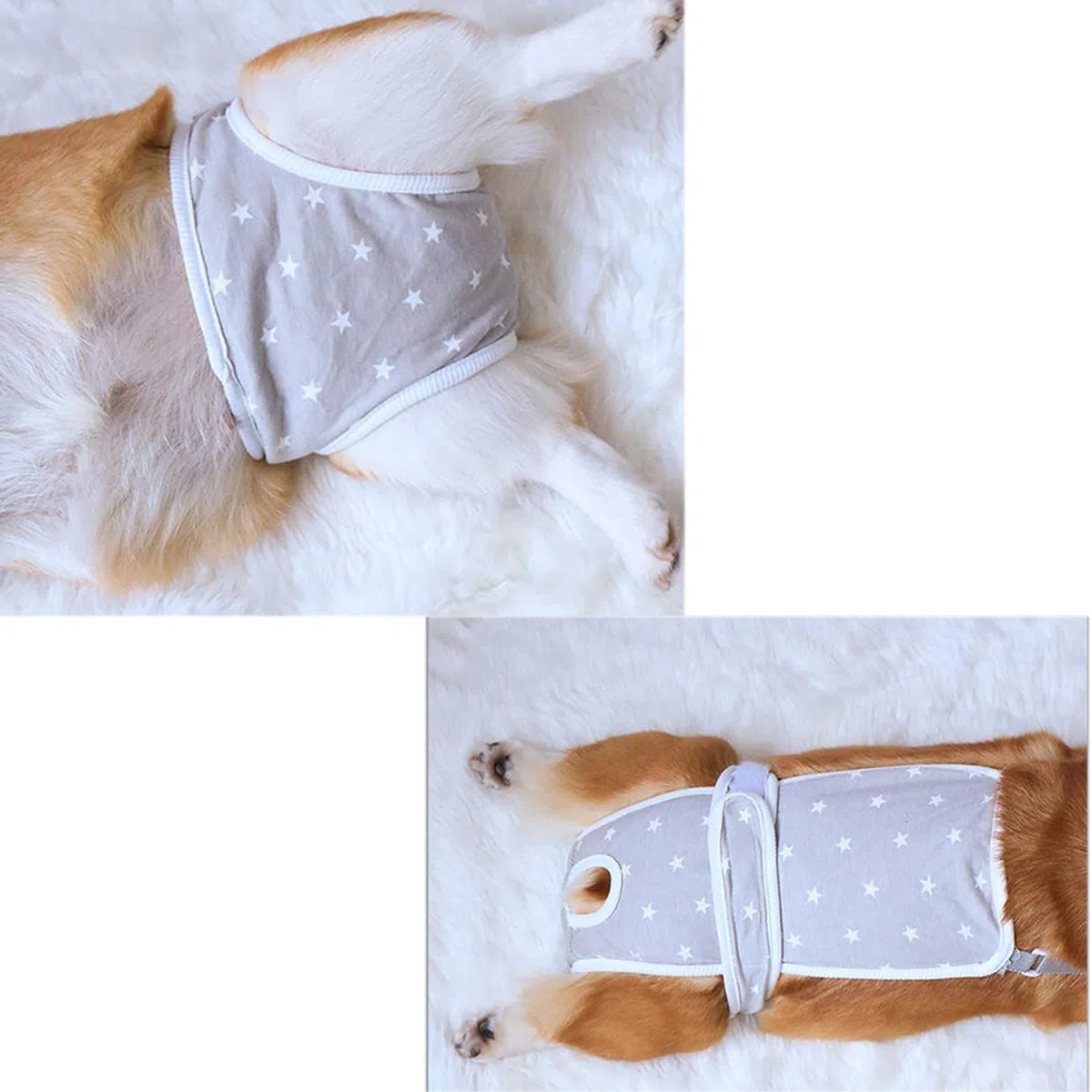 Pañales para Perros Hembra a Prueba De Fugas Reutilizable Bragas Perras Menstruales para Apartamento Medio Pequeño Pañales Perro Hembra Elástico(XL,Set C)