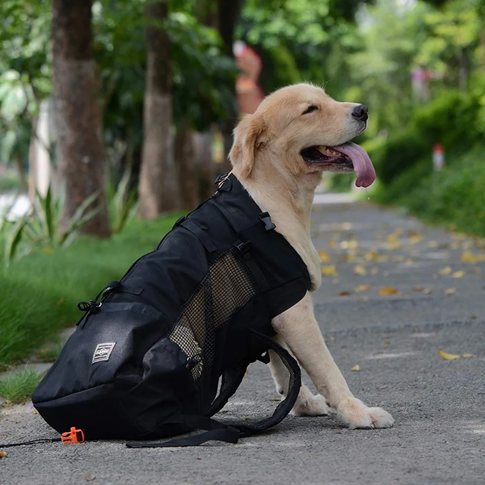 Woolala Mochila ligera para transportar mascotas para perros pequeños y medianos, bolsa segura aprobada por veterinarios para viajes, fácil de llevar, ahorra espacio, color negro, XL