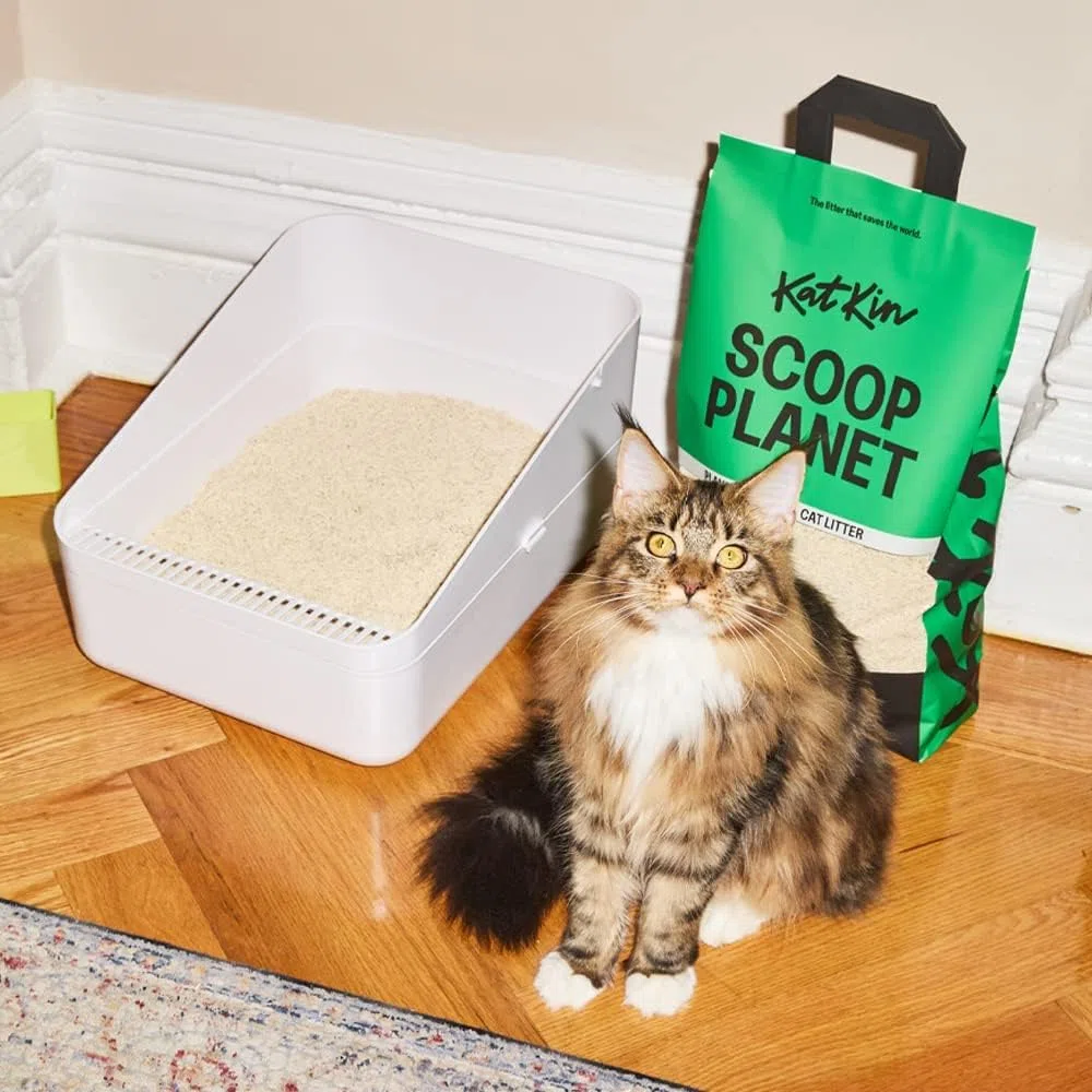 KatKin Scoop Planet Litter (bolsa de 4.5 kg/12.8 L): ahorro de planetas, a base de plantas, arena aglutinante para gatos hecha con fibra de guisante y mijo no tóxica, ecológica (2)