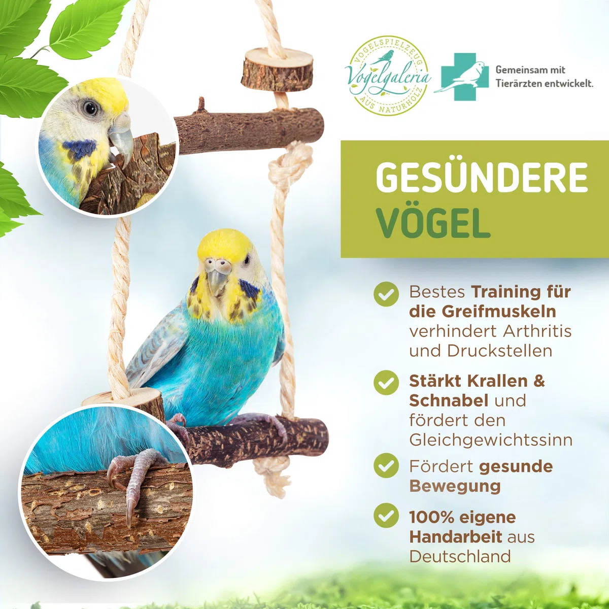 Juego de Jaula básica de 10 Piezas con Perchas Naturales Columpio de pájaro, Asiento, Barra de sedimentación y Percha de Cuerda Jaula para Budgerigar, Cockatiel | Accesorios para Jaula de pájaros