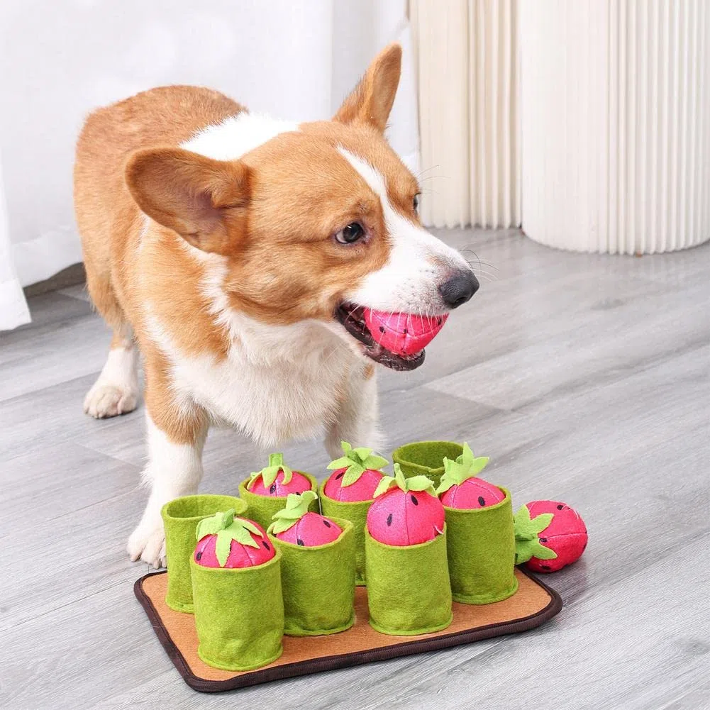 Almohadilla De Trabajo para Alimentación De Nariz De Fresa para Perros Y Mascotas, Juguete Educativo Interactivo para Perros Lento Y