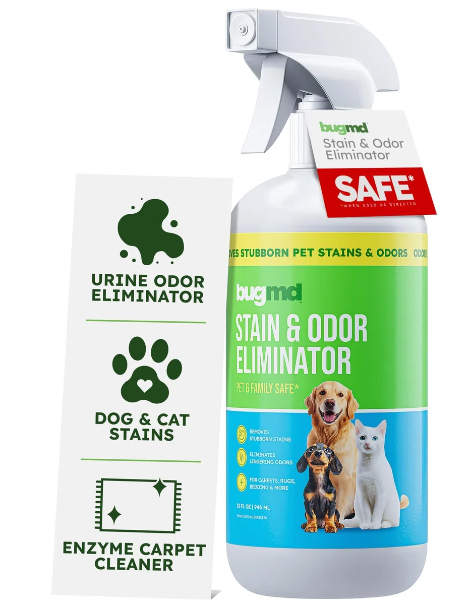 BugMD Removedor de manchas y eliminador de olores para mascotas para olores fuertes (32 onzas) en aerosol, limpiador enzimático para orina de perro, desodorante de arena de gatos, alfombras, muebles,