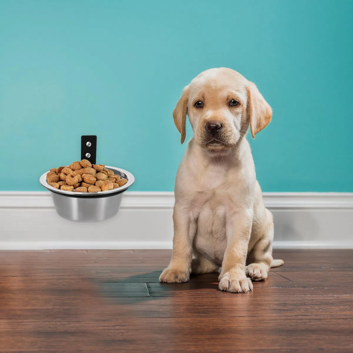 FRCOLOR 2 Juegos Cuenco Elevado para Perros montado en la Pared Accesorio para Mascotas comederos elevados para Gatos Cuencos para Gatos Cuencos para Perros tazón de Gato