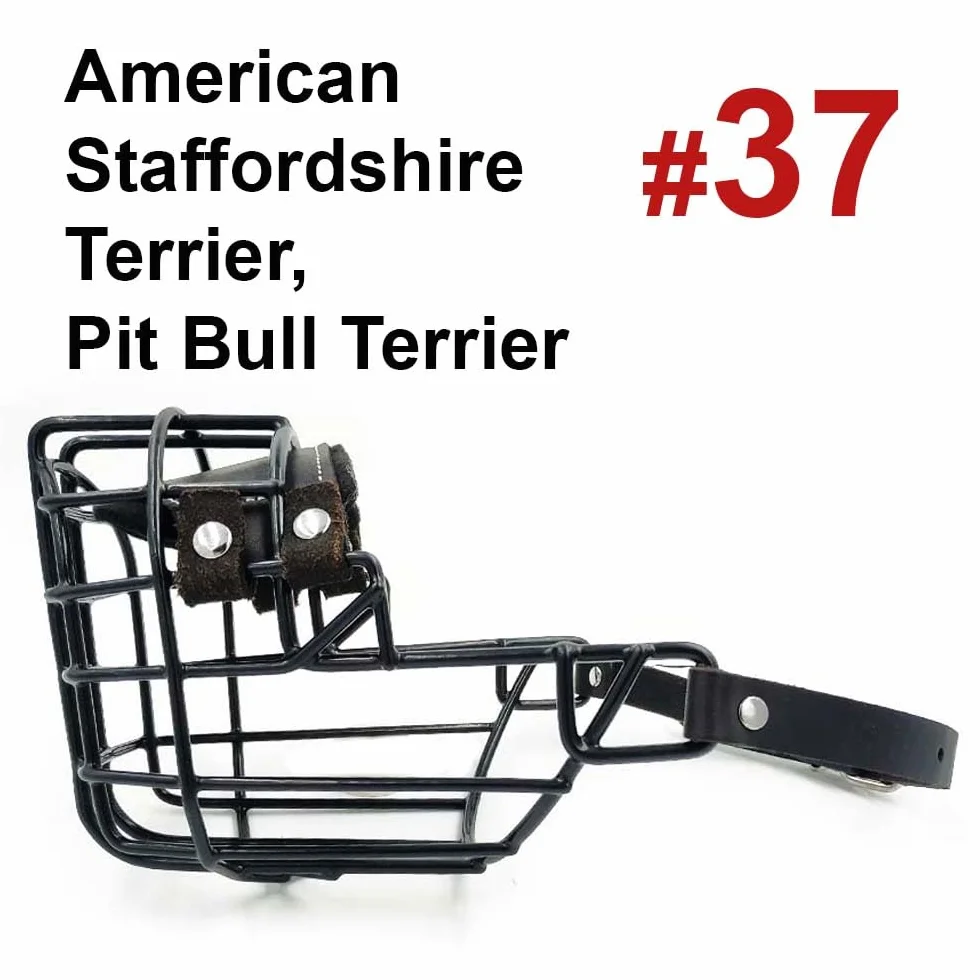 Bozal de Metal para Perro #37 para Amstaff y Pit Bull - Cesta de Alambre recubierta de plástico para Calavera Ancha - Correas de Cuero Transpirables y Ajustables