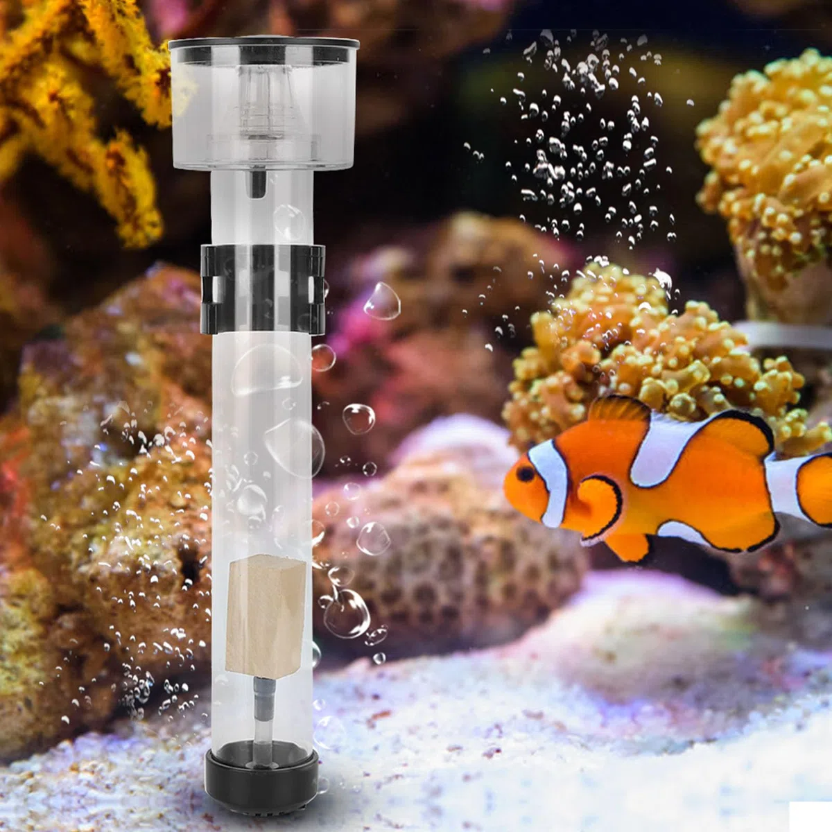 Skimmer de proteínas Filtros de Acuario Material acrílico Separador de Filtro de Pescado Vista Clara Duradera Materia orgánica separada Reduce la Carga bioquímica para acuarios