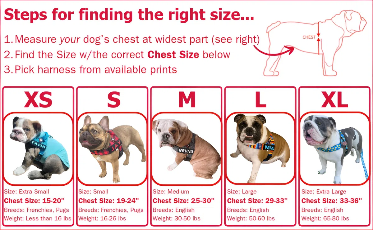 BULLHUG Arnés ajustable para perro, sin tirones, sin estrangulamiento, para bulldogs ingleses, bulldogs franceses, pugs y razas de pecho ancho, paseos fáciles y seguros (negro, mediano)
