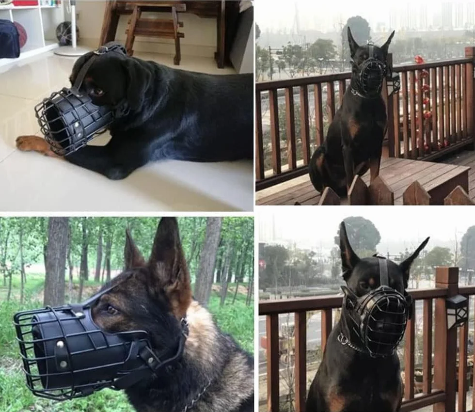 Bozal ajustable de metal y cuero para perro pastor alemán, doberman, rottweiler y otros perros medianos y grandes, ideal para adiestramiento, negro, L