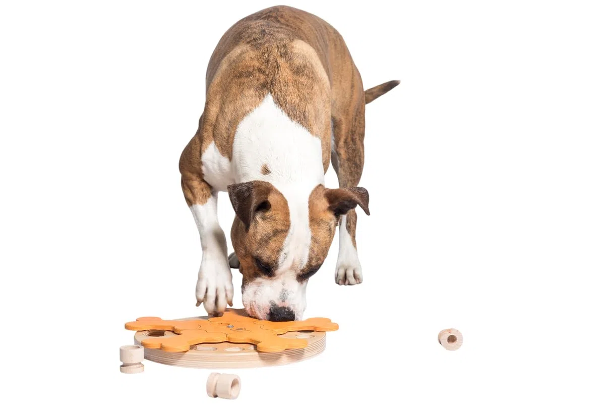 Carousel of Bones Juguete Interactivo para Perros de Madera Juguete Inteligente para Perros | Juguetes de inteligencia para perros Uso mental - Juguete interactivo Perro, Juegos de pensamiento para perros