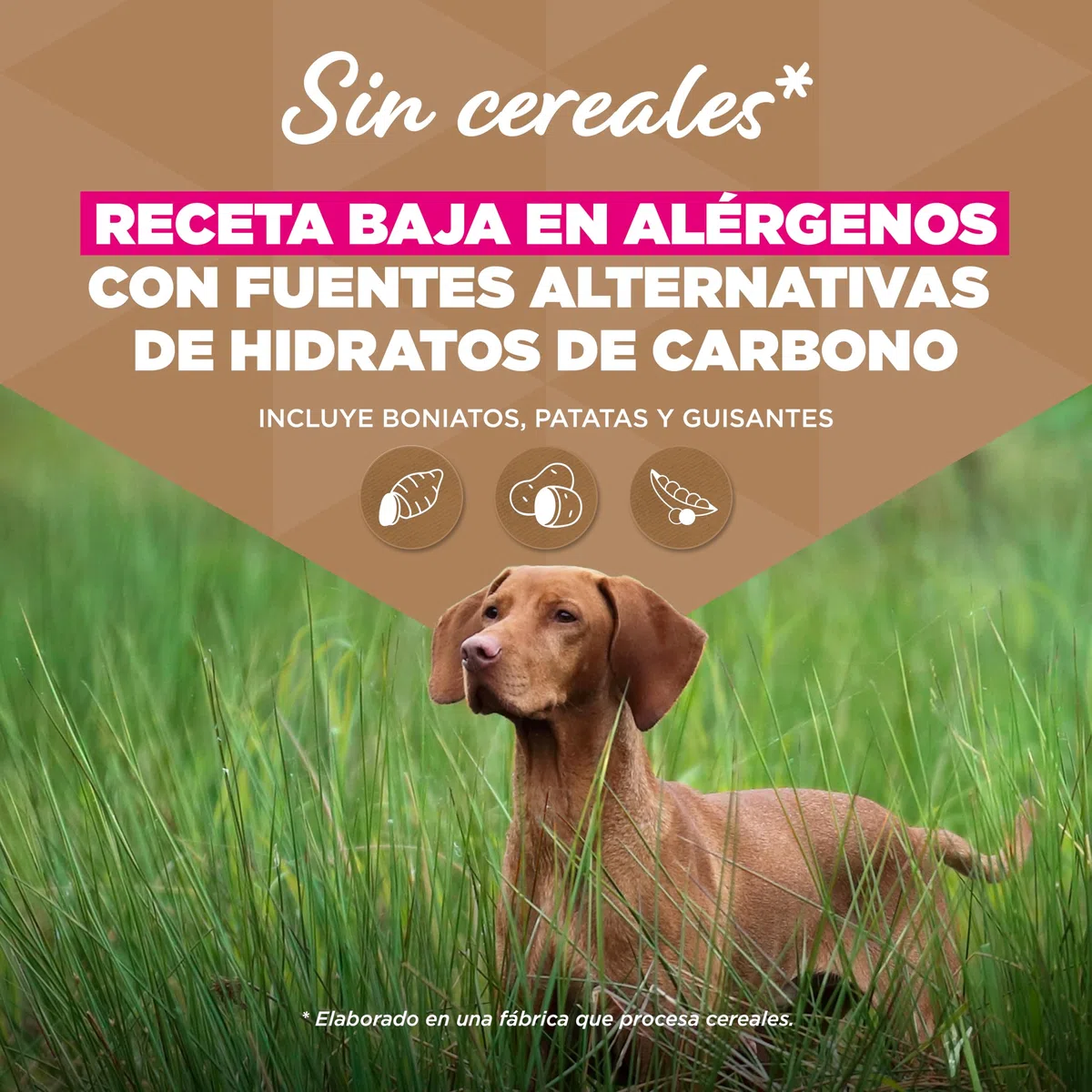 Eukanuba, alimento para Perros sin Cereales con Cordero para Razas Grandes - Alimento seco Premium sin Cereales para Perros Adultos, 12 kg