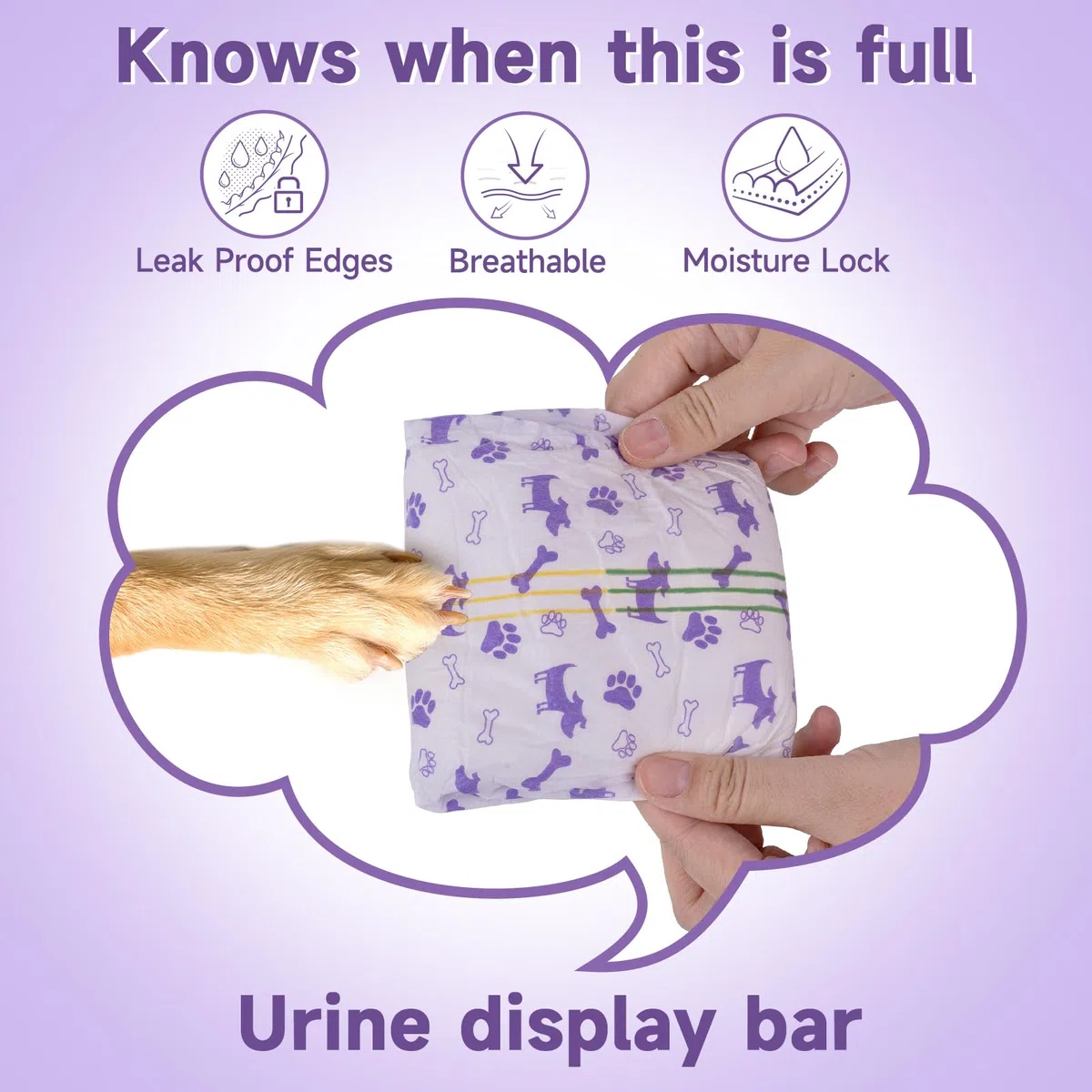 MICOOYO Pañales para perros femeninos, 40 unidades, pantalones desechables para perros con agujero trasero ajustable, pañales súper absorbentes para hembras y gatos en temporada de calor para