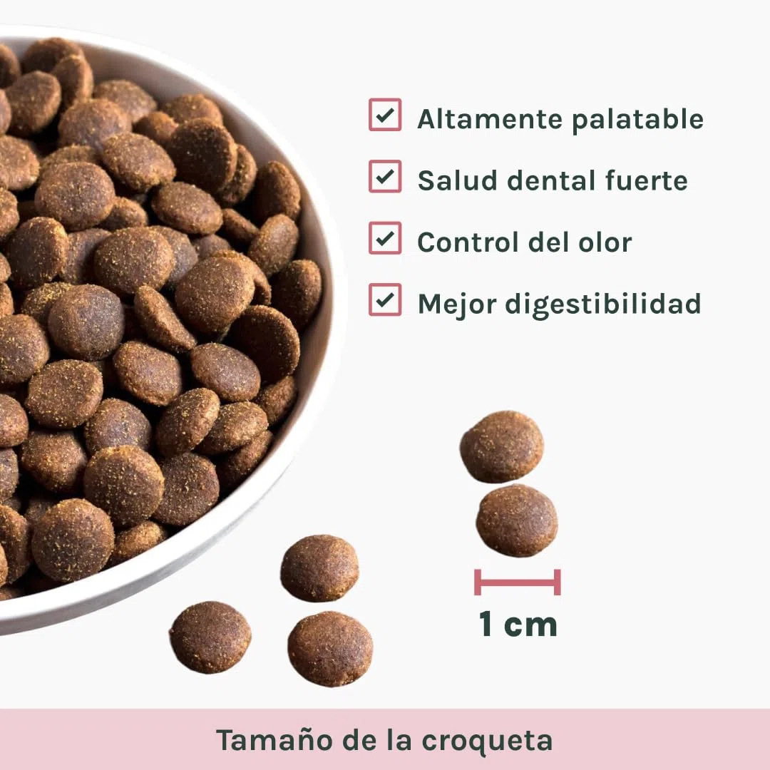 Caty’s Pienso Natural para Gatos Esterilizados 12 Kg - Comida Seca de Salmon – Comida Hipoalergenico de Alta Digestion - Sin Maíz ni Soja - Producto Nacional 100%