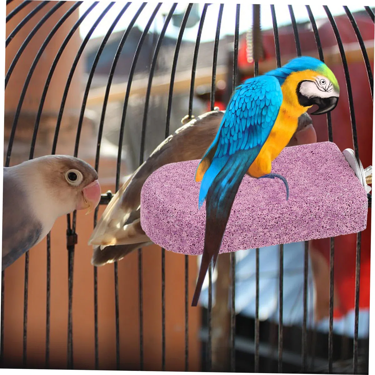 HANABASS 4piezas Perchero De Molienda para Pájaros Soporte De Descanso para Cockatiels y Aves Juguete Masticable De Calcio para Jaulas y Entrenamiento De Mascotas