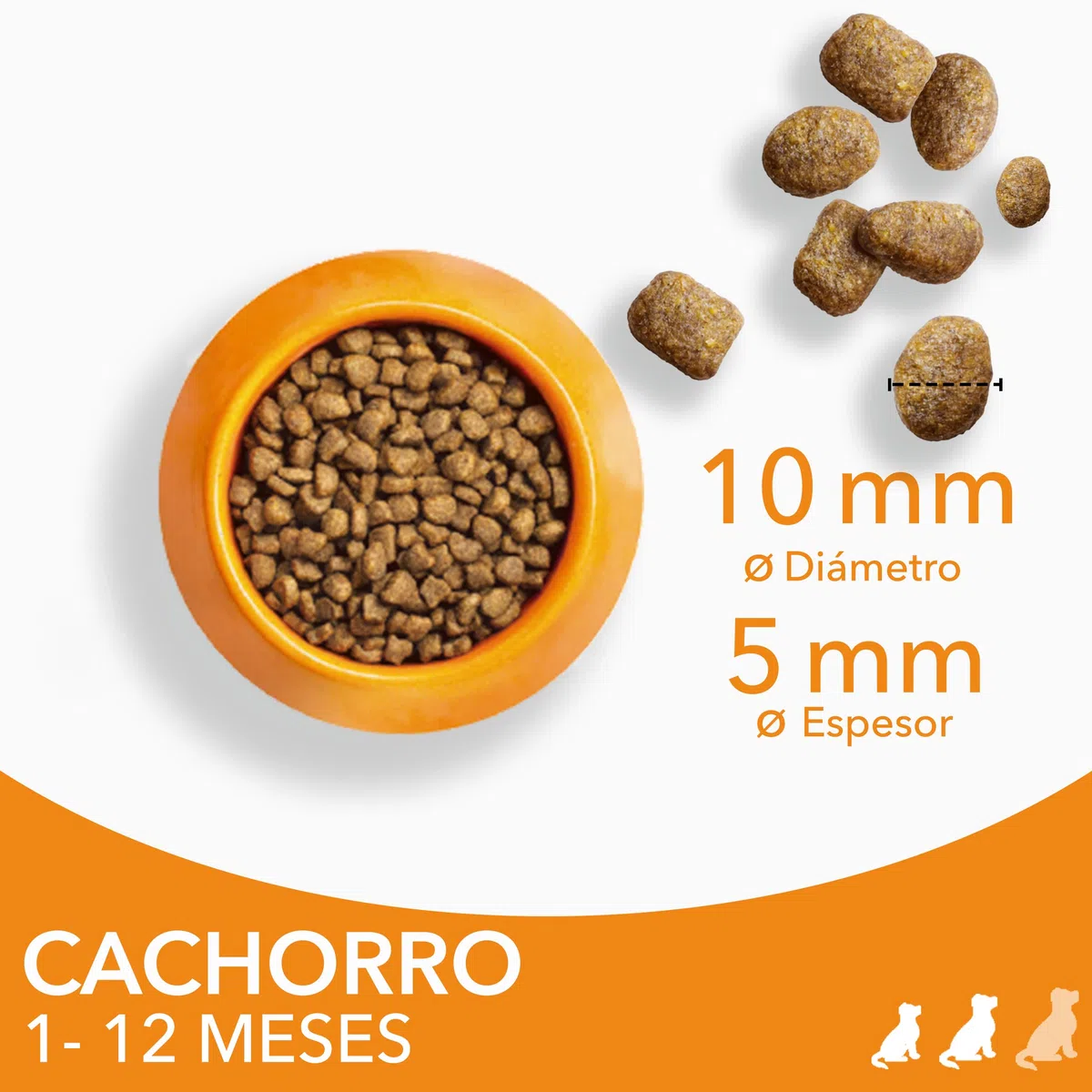 IAMS Alimento Seco Cachorros Razas Peq./Med., Pollo, 12kg
