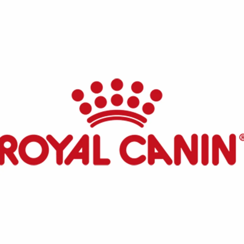 Royal Canin Mini Adult en Salsa | Pack de 4 | 4 x 12 x 85 g | Comida húmeda para Perros pequeños Adultos (de 1 a 10 kg) | De 10 Meses a 12 años | Contenido energético Ajustado