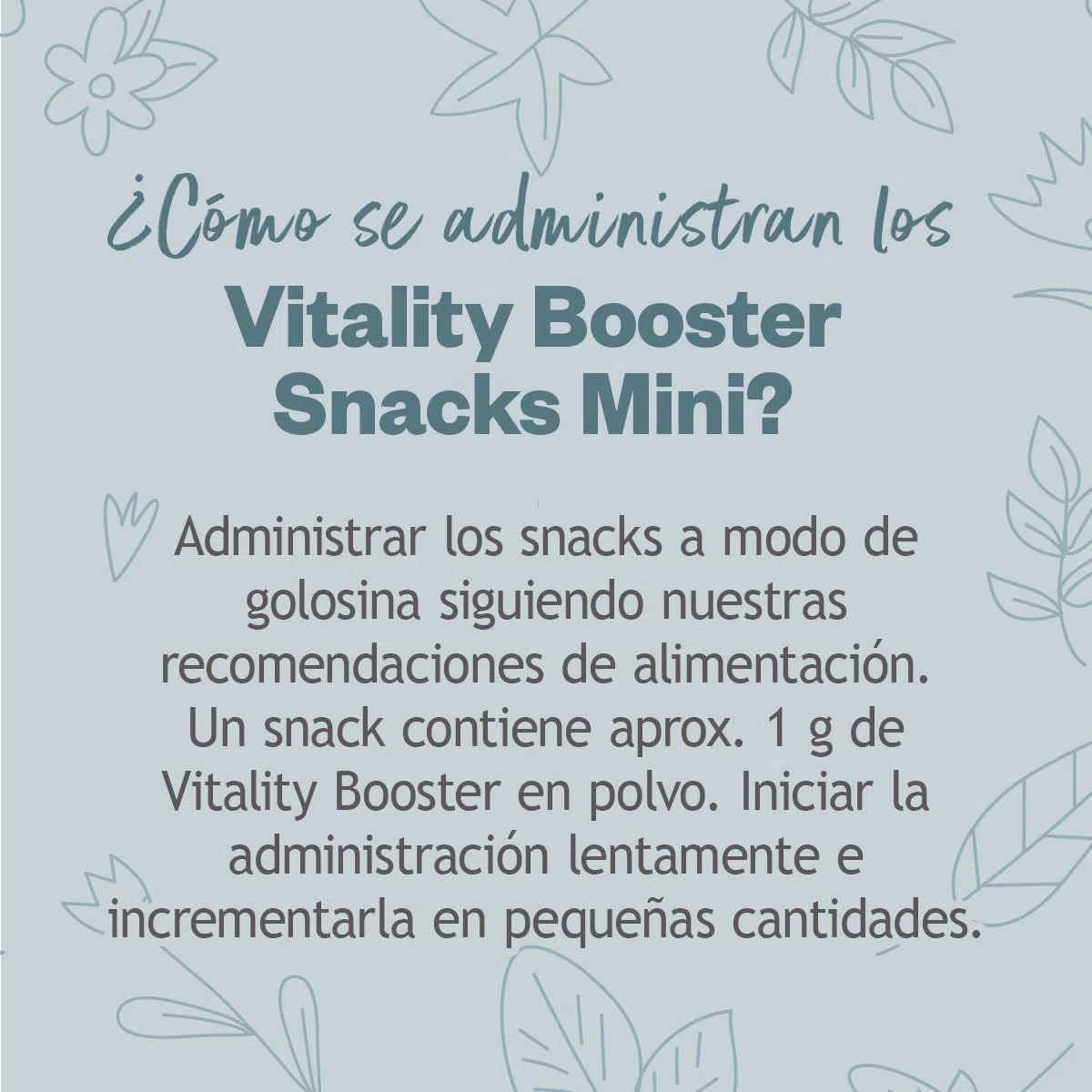 GRAU - El Original - Hokamix Vitality Booster Snack Maxi, Pack Individual (1 x 4,5 kg), alimento complementario para Perros