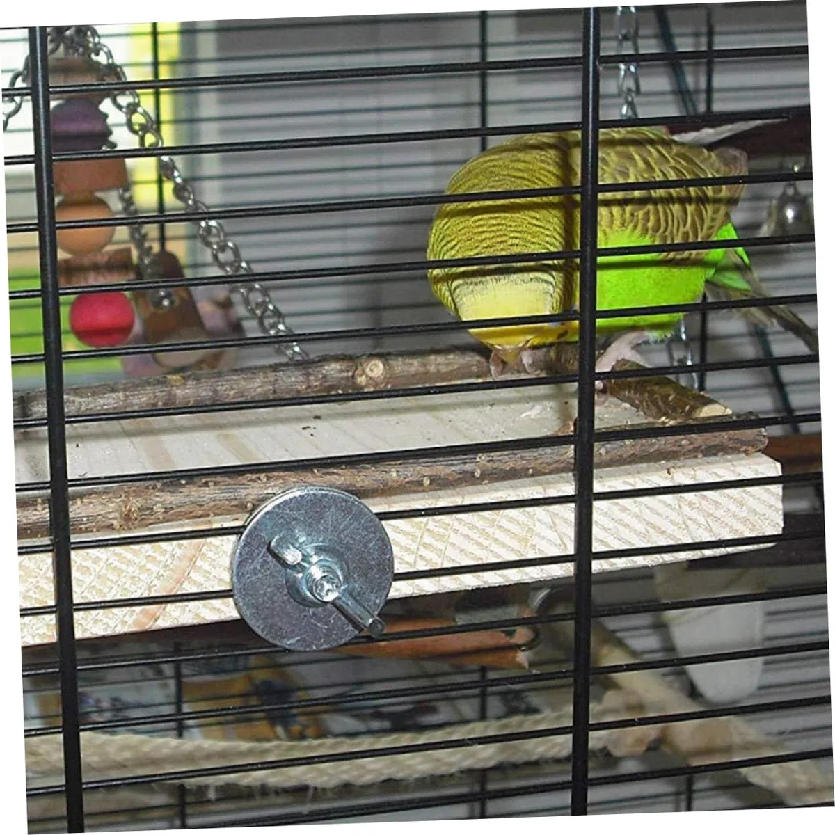 DOITOOL 2piezas Tablero De Salto De Madera para Aves De Caja De Alimentación y Juguete para Periquitos y Loros para Ejercicio y Coordinación El Hogar o Tienda De Mascotas