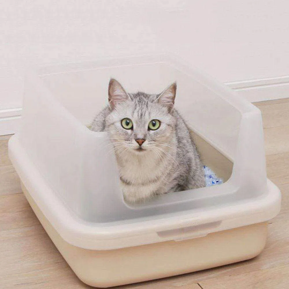 BPS 30.4 L Arena de Sílice para Gatos Arena Blanco Fresco Mascotas Cat Litter 4 Tamaños 3.8L/7.6L/15.2L/30.4L para Elegir (30.4 L) BPS-3200 * 8