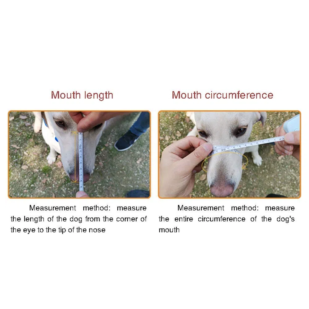 Bozal para Perro, bozal Protector Ajustable antimordeduras, bozal de Entrenamiento para Perros pequeños, medianos y Grandes