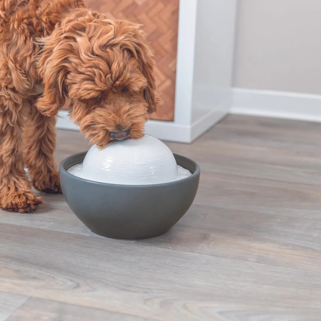 TRIXIE Fuente Vital Dome de Cerámica para Perros y Gatos, 1,5 L, Gris/Blanco - Bebedero Automático Higiénico con Flujo de Agua Constante y Bomba Regulable, Apto para Lavavajillas