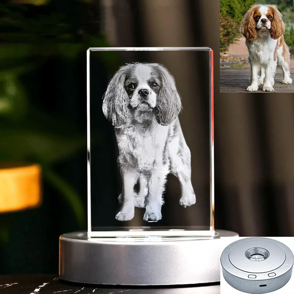 NALsa Tallado de Cristal, Fotos privadas 3D Personalizadas, Regalos conmemorativos para Mascotas para Amigos, Novias y Regalos Familiares