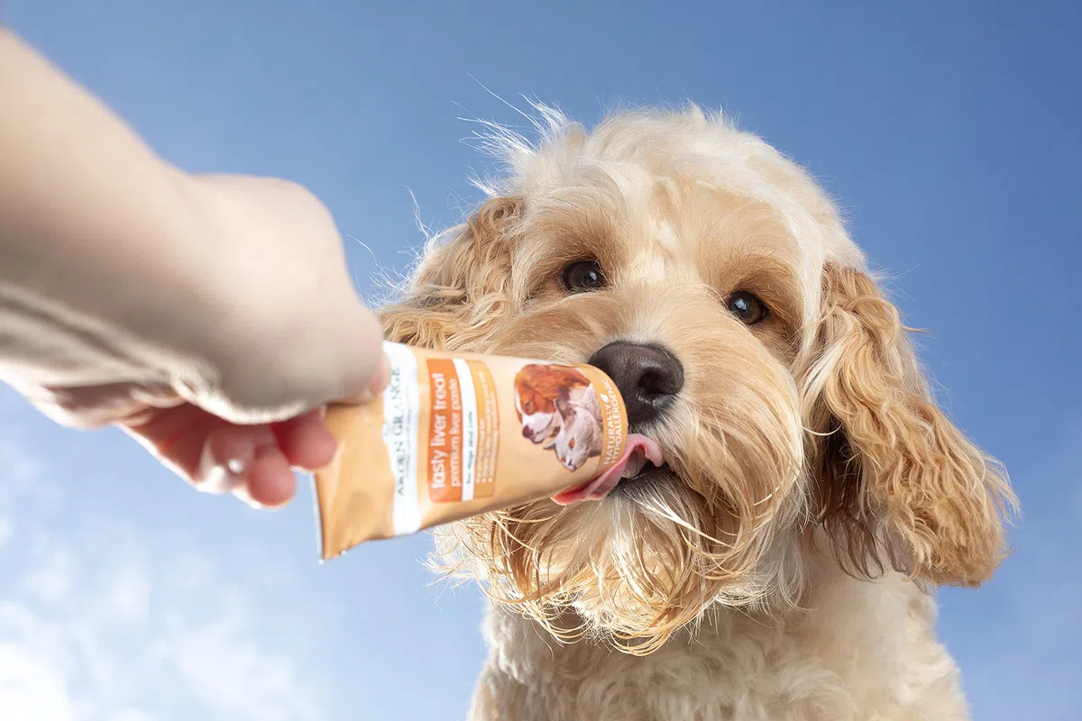 Arden Grange Delicias sabrosas para el hígado para Gatos y Perros, marrón, 75 g